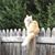 Don McGhee's profile image