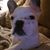 David Miles's profile image