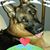Cinzia Duca's profile image