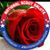 Rebecka Gillen's profile image