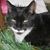 Beverly Stewart's profile image