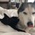 Shiloh Glaze's profile image