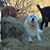 Kathy Goodin's profile image