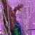 Arianna Shines's profile image