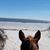 Linda Akins Walker's profile image