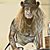 Jeffrey Rings's profile image