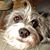 Paula Smith's profile image
