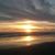 Roxana Hofferber's profile image