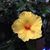 Wendy Gregory's profile image