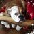 Marie Janes's profile image