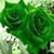 Donna Quick's profile image