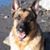 Wendy Landry's profile image
