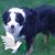 Paul Riggs's profile image
