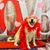 Hippychick Sunshine's profile image