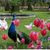 Sakina Abbas's profile image