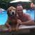Mark Rupsic's profile image