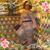 Cheryl Briskey's profile image