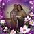 Melissa Soliz's profile image
