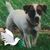 Melba Simmons Rowland's profile image