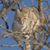 Jerry Segraves's profile image