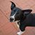 Tucker-n Cassidy Ward's profile image
