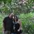 Kristen Hill's profile image