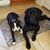 Vicki Denne's profile image