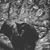 Pecko Predavnik's profile image