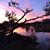Audrey Scott Sigrist's profile image