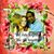 Garolyn Rindfliesch Woodard's profile image