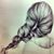 Saamiya Arain's profile image