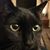 Julie Ingebrigtson's profile image