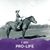 Sue Ficke Seibert's profile image