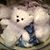 Cathy Gullion's profile image