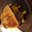 David Burgess's profile image