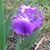 Carol Groves's profile image