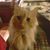 Mike Desorcy's profile image
