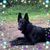 Kendra Hancotte's profile image