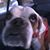 Amy Driver's profile image