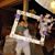 Adriana Rivas's profile image
