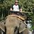 Keith McIvor's profile image