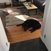 Paul Cresto's profile image