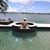 Teresita Genselovich's profile image