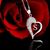 Sue Faulkner's profile image