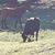 Kathryn Nelson's profile image