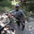 Nestor Palomares's profile image