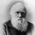 David Wheelock's profile image