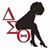 DeRhonda Moss Jackson's profile image