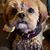 Carlos Rivera's profile image