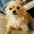 Susy Walker's profile image